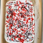 overhead tray of coconut yogurt bark with gojis and chocolate drizzle on parchment